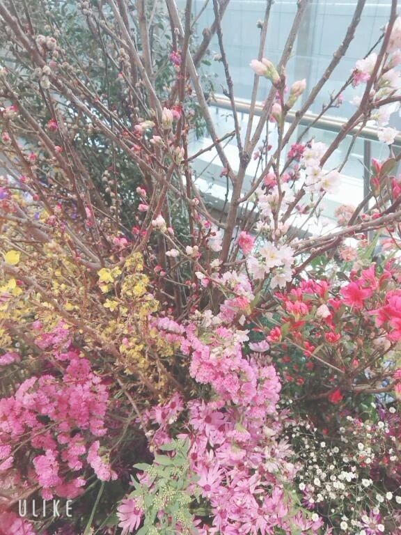 ありがとうございます&#129767;