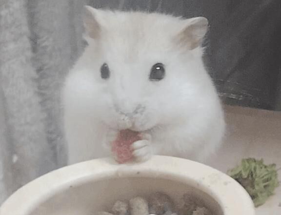 2日目&#9825;