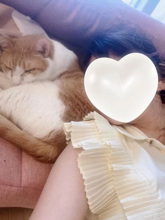 13時から予約&#127569;です！