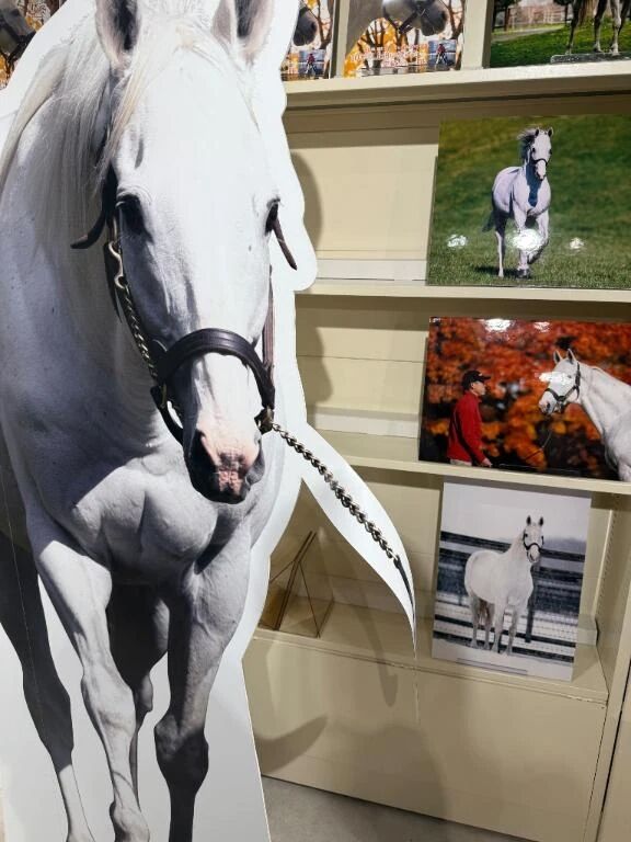 初日ラスト1枠&#128152;