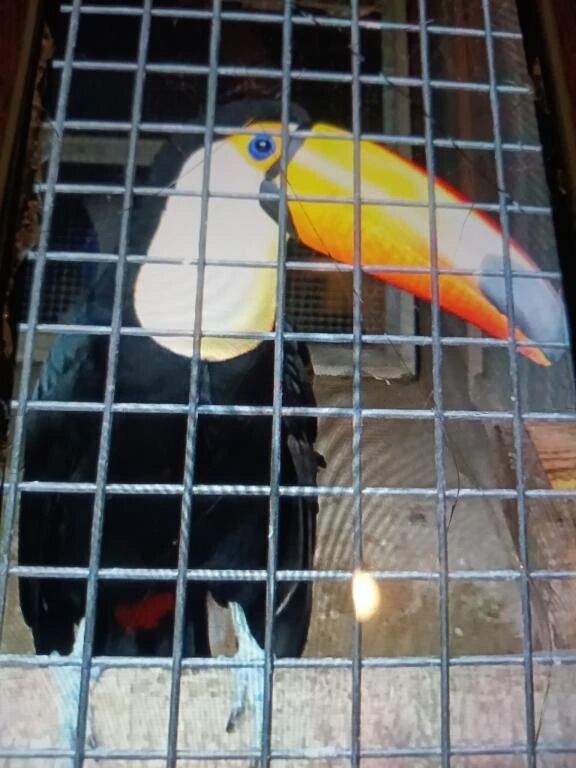 １０時３０分〜出勤します&zwj;♀