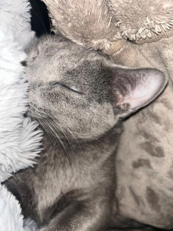 おやすみ&#128557;
