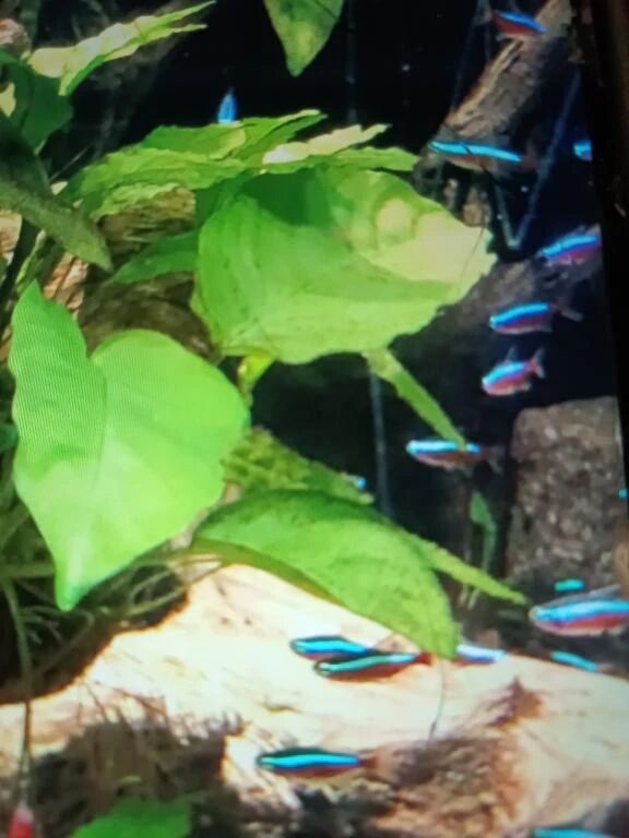 社長様　ありがとうございました️