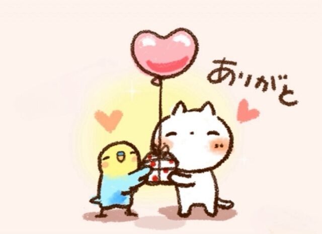 23日(火)の感謝です&#9825;&#9825;&#9825;(&#9825;´&#9825;` )