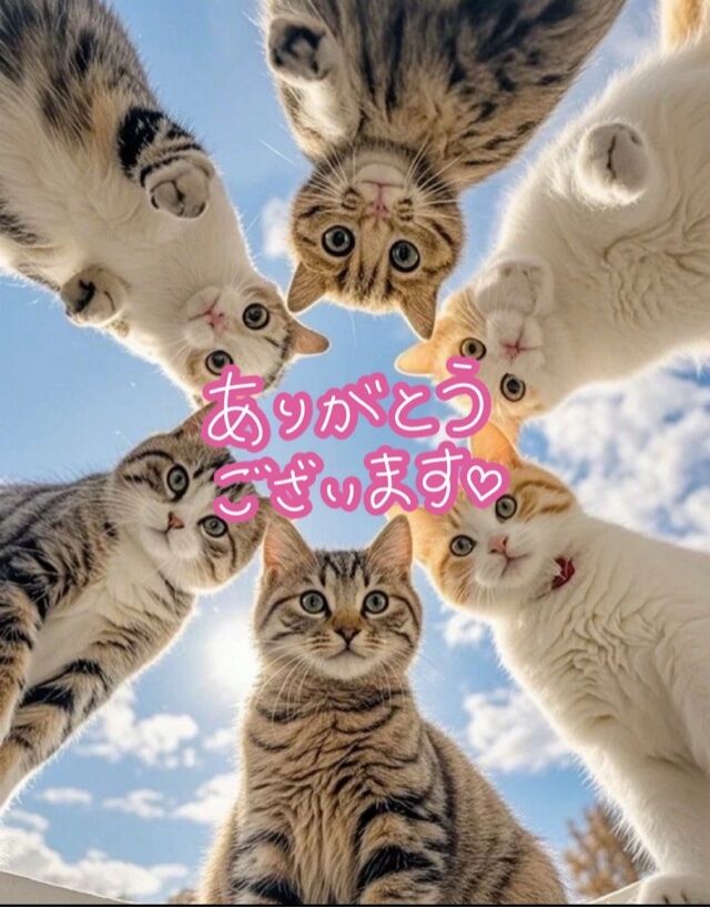 24日(水)の感謝です&#9825;&#9825;&#9825;(&#9825;´&#9825;` )