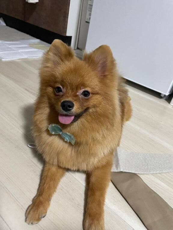 イケメンさん&#9825;