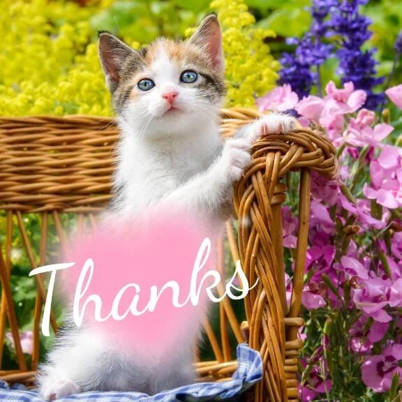 ありがと＆おやすみ