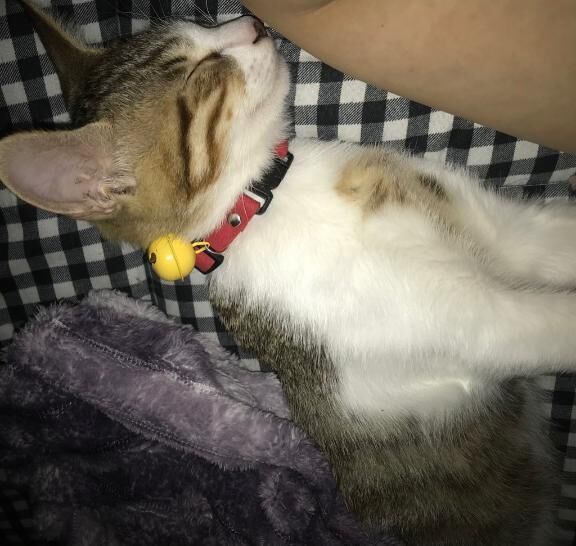 おやすみなさい^_^