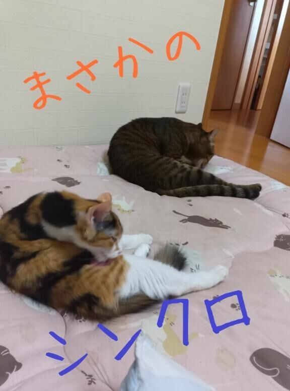 ラストスパート