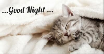 ＊おやすみなさい＊