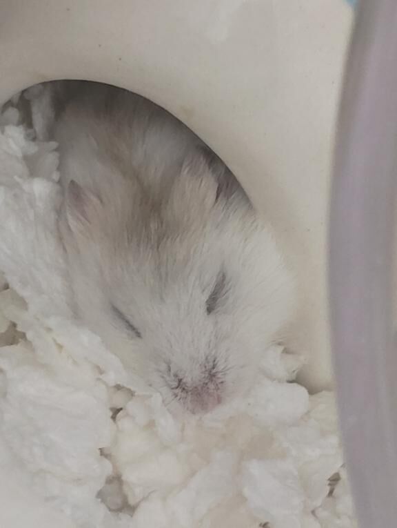 おはようございます&#9825;