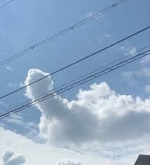 おはようございます
