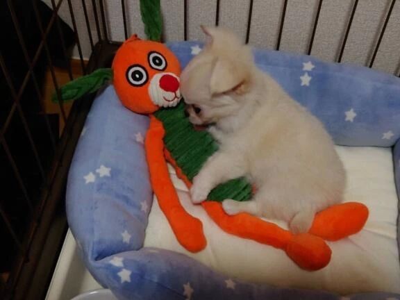 本日お休みです&zwj;♀️