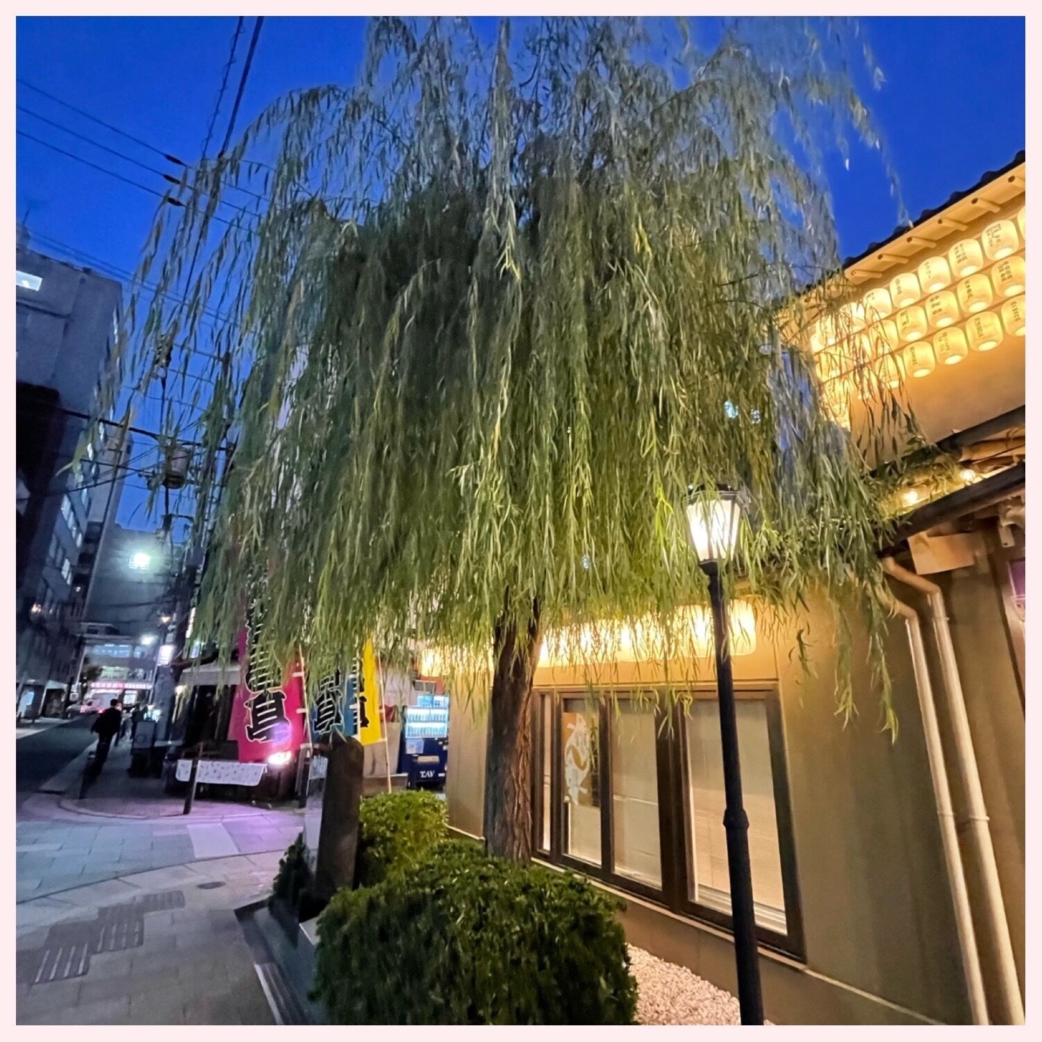 出勤しました(^^)