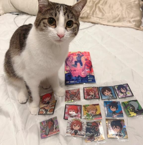本日も&#9825;
