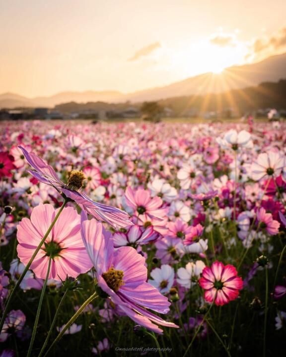 もうすぐお昼&#9825;