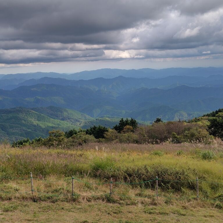 よろしくお願いします