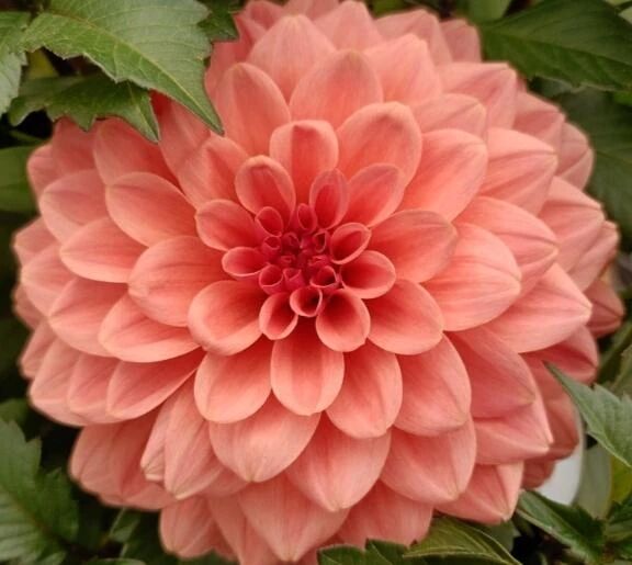 &#128149;変更です&#128149;