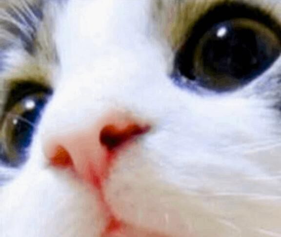 22:30新規様&#9825;