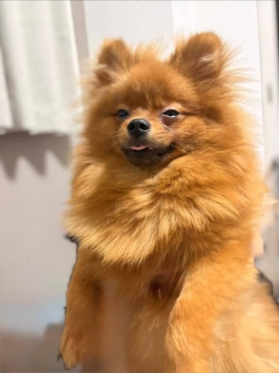 へへ&#x301C;&#9825;