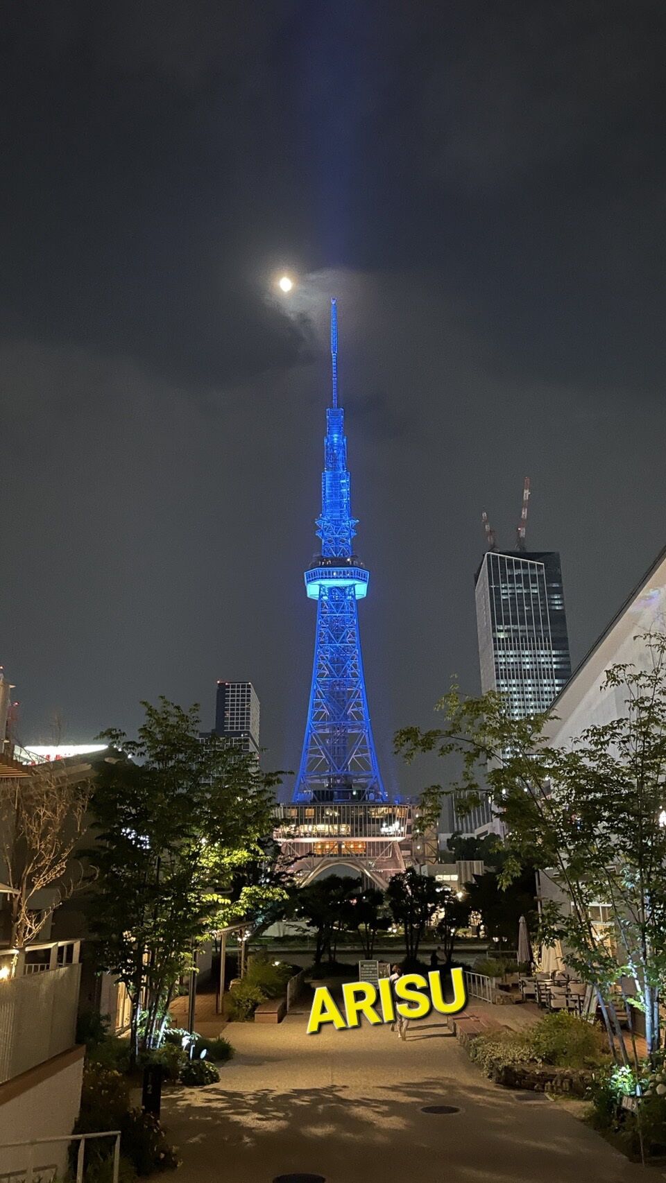 今夜は珍しく〜