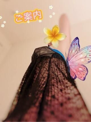 夜のお供と共に