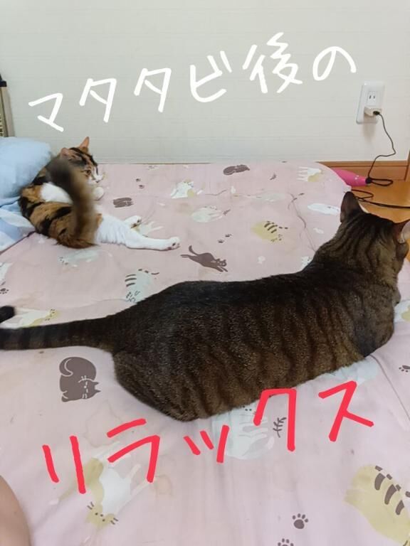 お礼