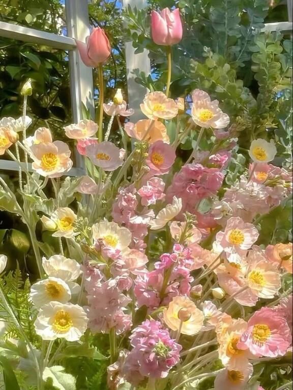 明日います&#9752;