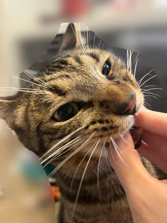 ごめん&#128049;