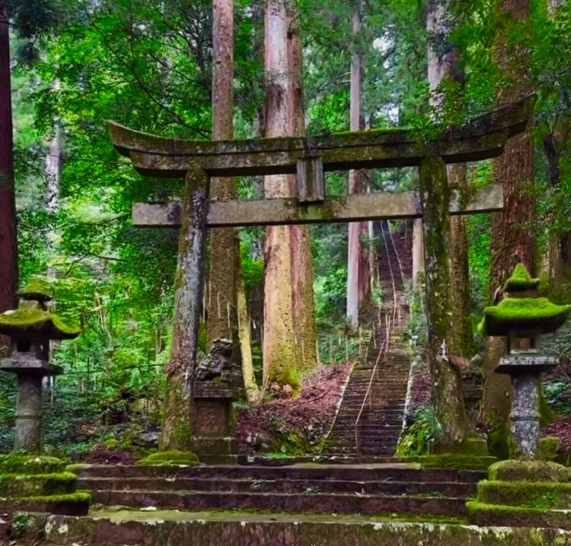 瀧神社&#9961;&#65039;