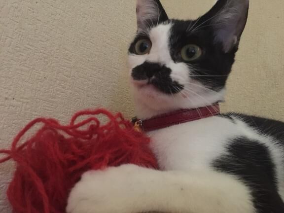 次女のいたずら