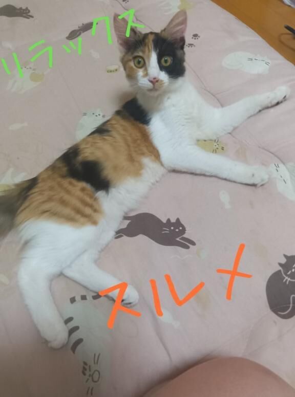 出勤しましたぁ