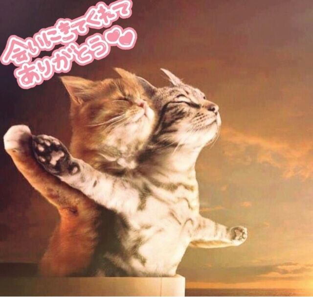 26日(金)の感謝です&#9825;&#9825;&#9825;(&#9825;´&#9825;` )