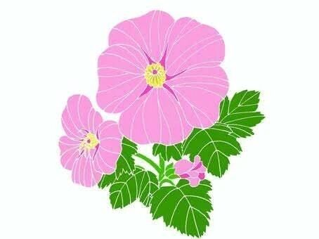 9月26日(金)  17時&#x301C;  殿方様&#9825;