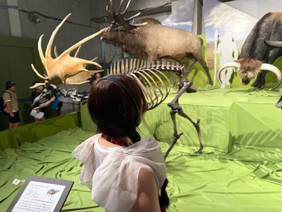 新たな頁(ページ)