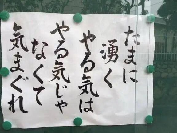 ( ･ω･)ﾌﾑ