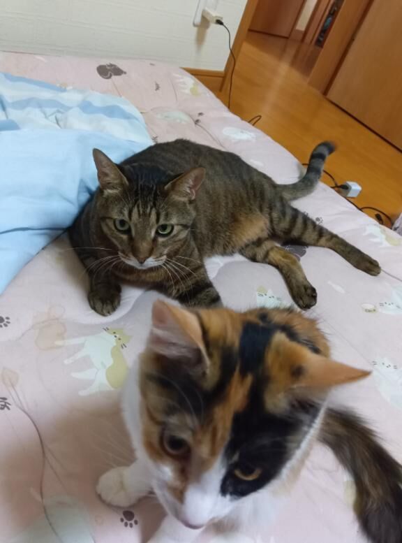 今なら