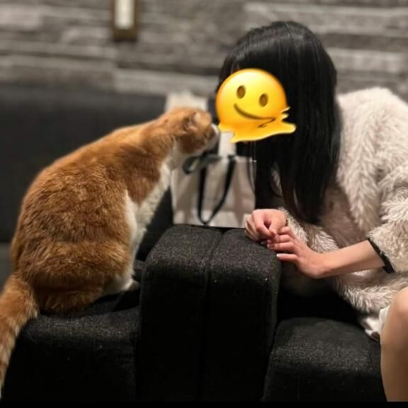 ない……、