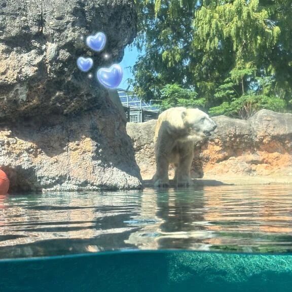 こんばんは&#9825;