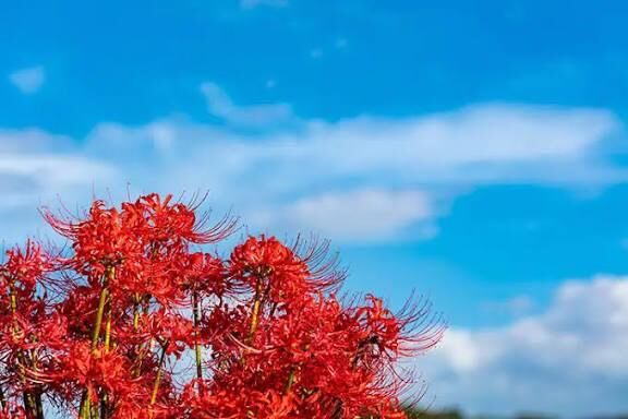 23日のお礼&#9825;