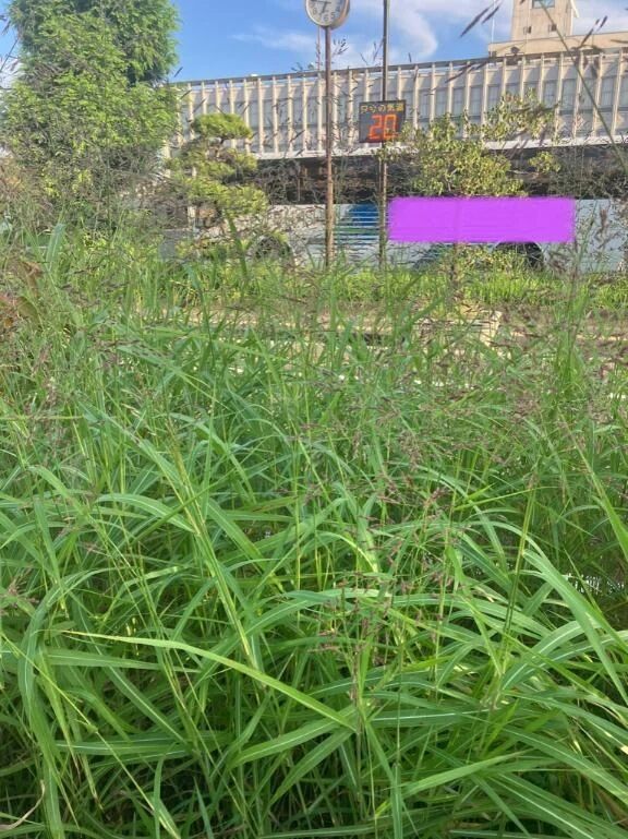 &#10084;&#65039;朝活&#10084;&#65039;