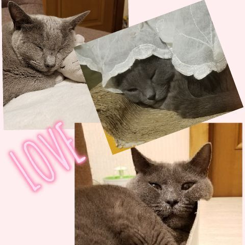 おはようございます