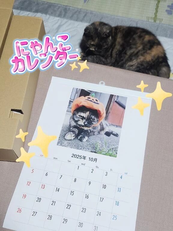 カレンダー&#128467;&#65039;
