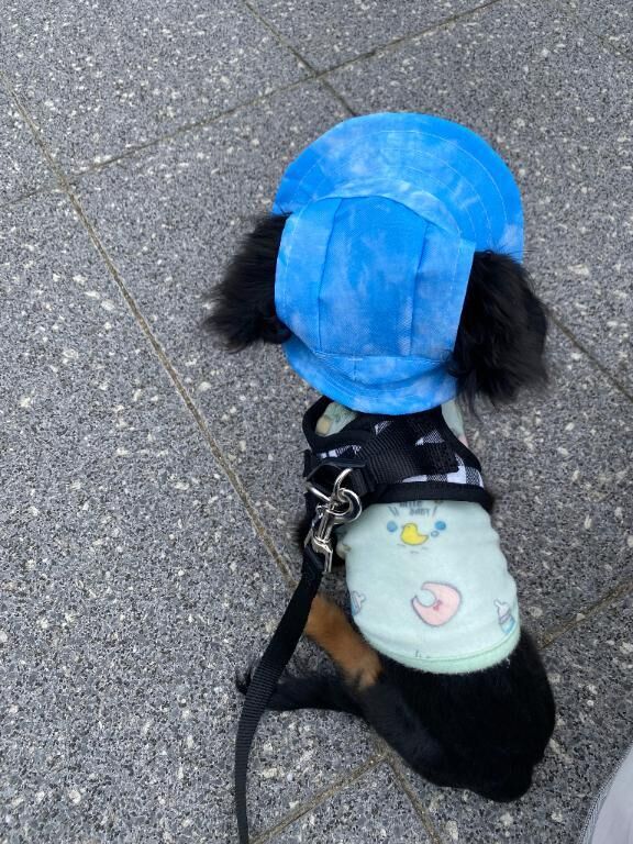 ごめんなさい♡♡