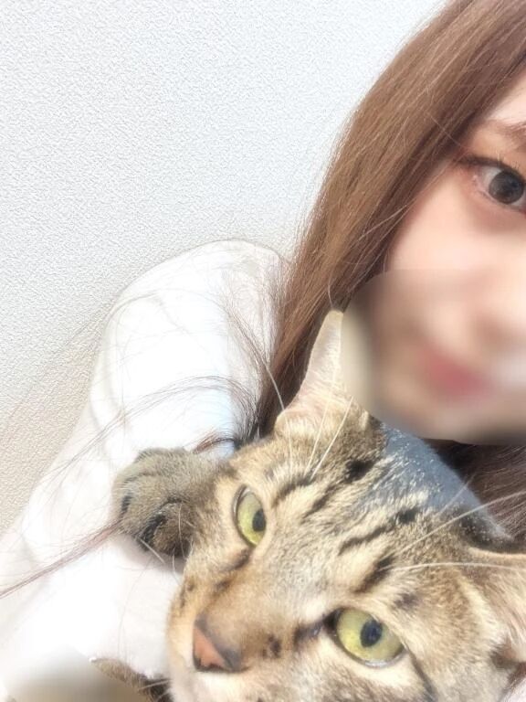 今日の目標&#128049;