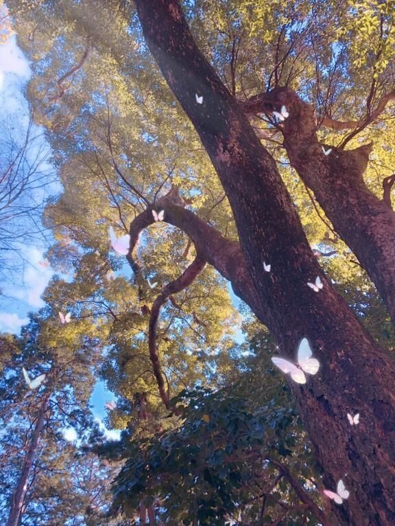 おはようございます