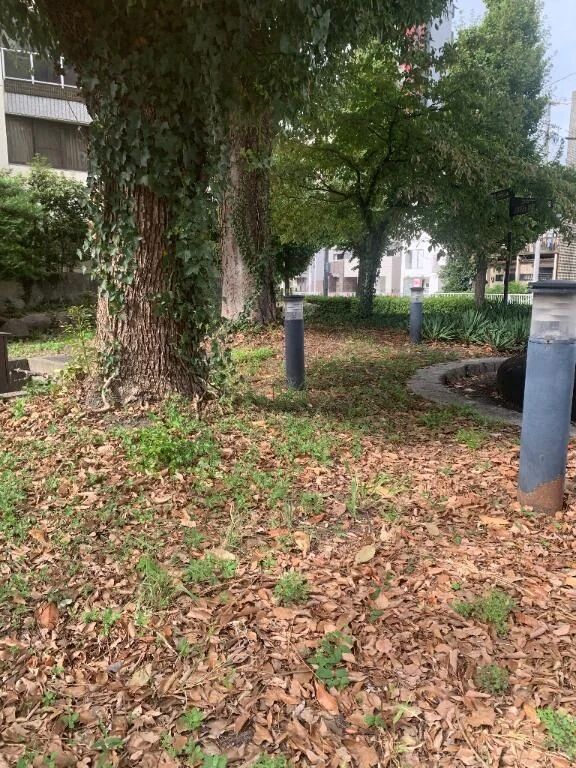 おはようございます