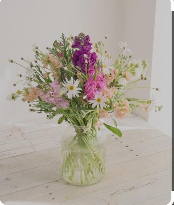 [お題]from:ヨーグルトさん