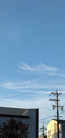 天気良いね&#x301C;♪