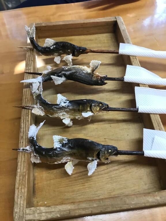 こんにちは。(^ ^)